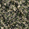 Ditzy Flower Flicks Print Ecovero Viscose - Dark Olive + Cream + Black
