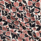 Popeline de coton BCI à imprimé floral rétro - Ivoire + Rouge terre + Noir
