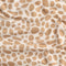 Pebble Print Bamboo Spandex Knit Deadstock - Ivory + Sand
