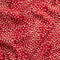 Small Dot Print Ecovero Crepe de Chine - Scarlet + Oat