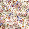 Spring Floral Print BCI Cotton Poplin - Cream + Olive + Periwinkle