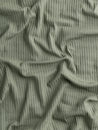 F-VIS287-003-Wide-Rib-Viscose-Knit-Sage-Core-Fabrics-scrunched.JPG