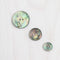 New Zealand Abalone Shell Buttons